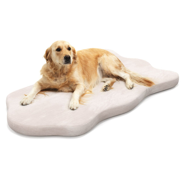Orthopaedic large dog bed with memory foam and waterproof washable cover in beige and grey colors