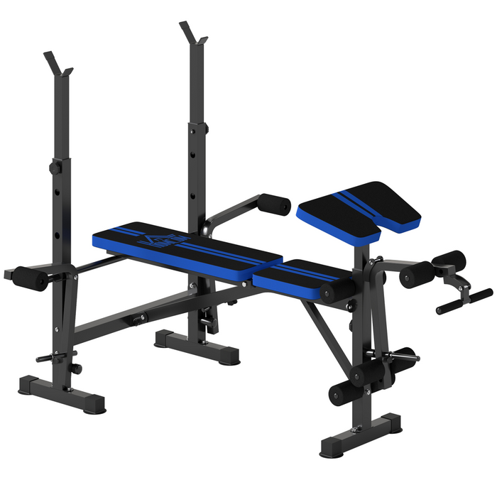 Black and Blue Adjustable Weight Bench with Squat Rack and Leg Curl Station