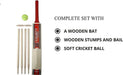 Cricket Set in Mesh Carry Bag Suitable for Approximate Ages 8-12 Years.Size 3/5