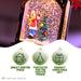 Christmas Snow Globe Lantern Scene Tree Ornament Decoration Xmas LED Light Up