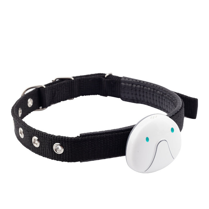 Pet GPS Tracker – Real-Time Location with GPS, Beidou, WiFi & LBS Positioning