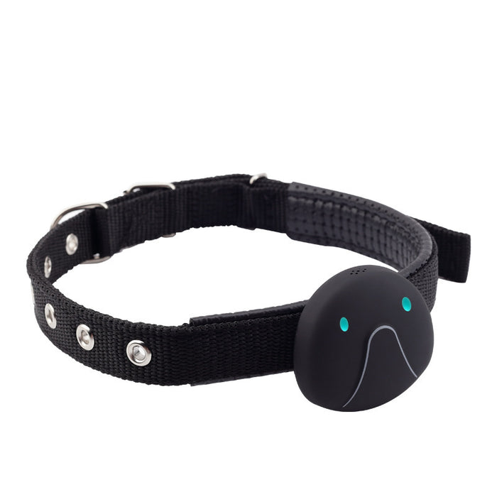Pet GPS Tracker – Real-Time Location with GPS, Beidou, WiFi & LBS Positioning