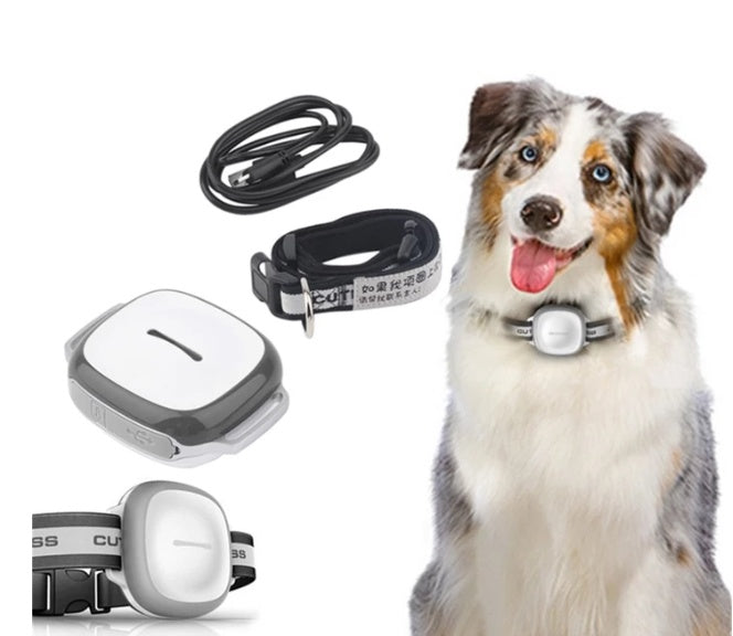 Compact waterproof GPS tracker with smart alarms and USB charging