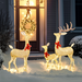 3-Piece Reindeer Family Set – LED Outdoor Christmas Display - Samanta Factory