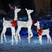 Lighted Christmas Reindeer Set – 3-Piece Family Display - Samanta Factory