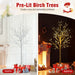 Lighted Birch Tree Set Birch Christmas Tree with Branch Tips LED Lights and Metal Bases