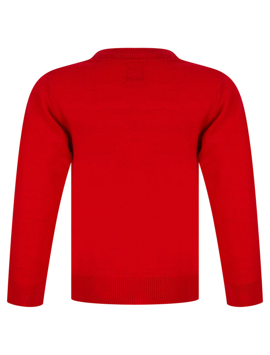 Kids Girls Christmas Jumper Glasses Dog Novelty Sequinned Xmas Sweater Pullover