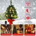 2FT 60Cm PVC Artificial Christmas Tree with LED Lights