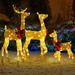 Lighted Christmas Reindeer Family – 3-Piece LED Holiday Set - Samanta Factory