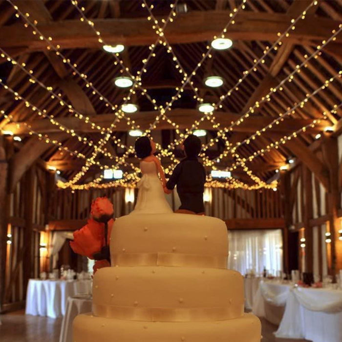 100-2000 LED String Fairy Lights Mains Plug in Outdoor Christmas Tree Home Decor