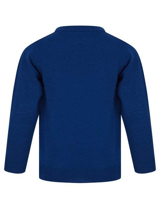 Kids Boys Christmas Jumper Reindeer Snow Xmas Sweater Pullover Novelty