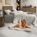 Large Dog Bed with Memory Foam Support and Removable Cover