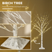LED Birch Tree – 150cm Pre-Lit Decorative Light Tree - Samanta Factory