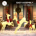 LED Light-Up Reindeer Family – Warm White Outdoor Christmas Display - Samanta Factory