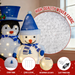 Lighted Christmas penguin and snowman duo with warm white LED lights
