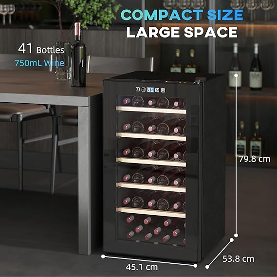 Wine Cooler Fridge - Precise Temperature Control
