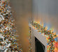 Premier 3000 LED Cluster Indoor Outdoor Multi-Action Christmas Tree Lights MULTI