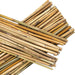 Bamboo Garden Canes – 3FT Durable Support Sticks for Plants - Samanta Factory