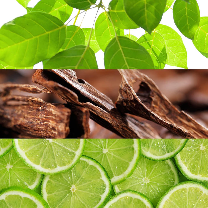 Men's Perfume Spray – Aromatic & Green Scent with Citrus & Woody Notes