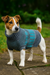 Teal Fair Isle dog jumper with leg socks for Christmas or winter wear