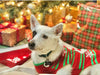 Christmas Sweater for Dogs and Cats-2