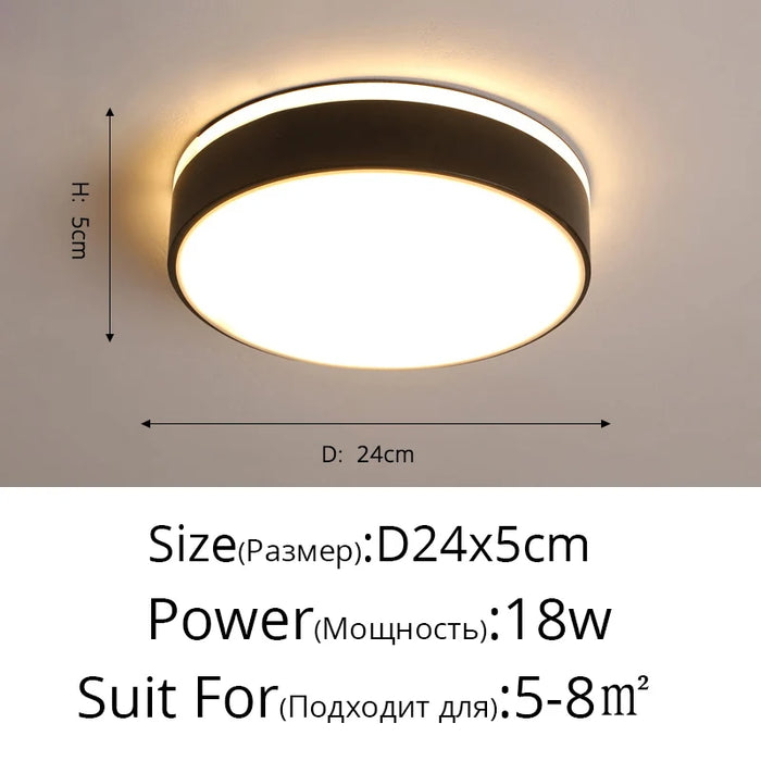 New Design LED Ceiling Light – Modern Corridor, Art Gallery & Balcony Lamp in White & Black