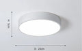 New Design LED Ceiling Light – Modern Corridor, Art Gallery & Balcony Lamp in White & Black - Samanta Factory
