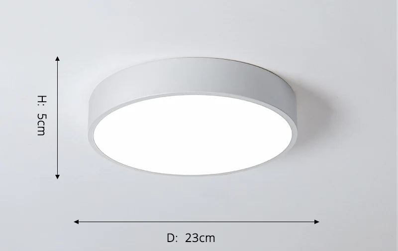 New Design LED Ceiling Light – Modern Corridor, Art Gallery & Balcony Lamp in White & Black - Samanta Factory
