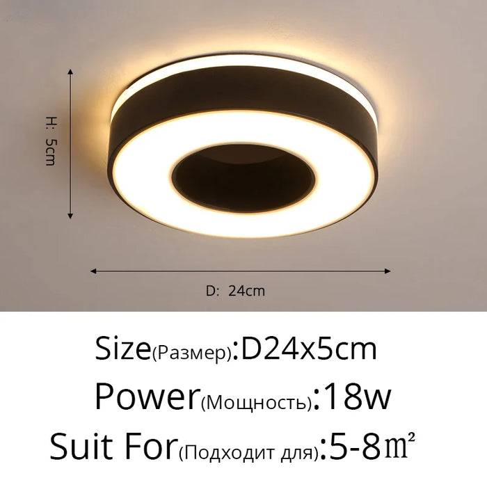 New Design LED Ceiling Light – Modern Corridor, Art Gallery & Balcony Lamp in White & Black