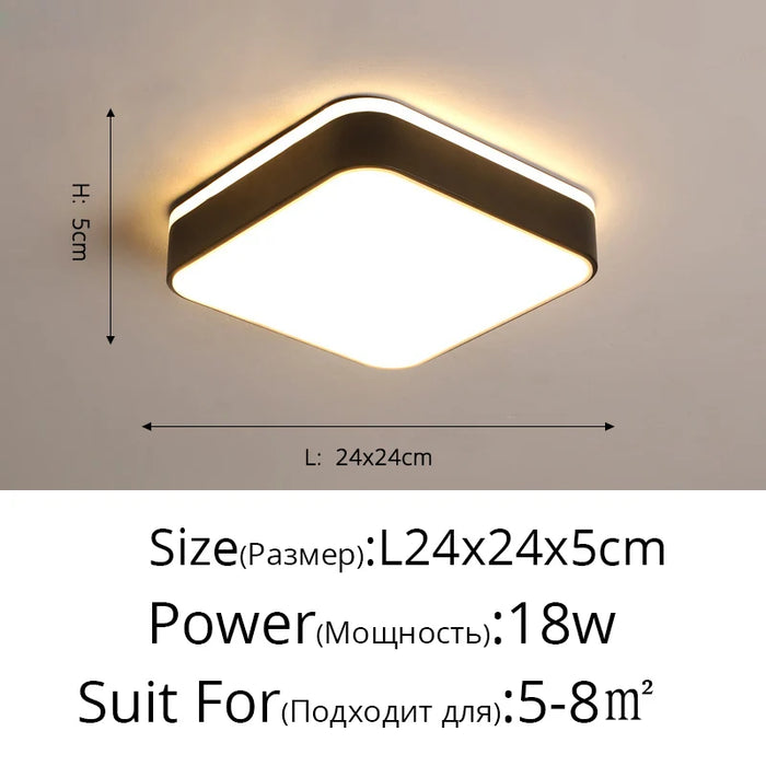 New Design LED Ceiling Light – Modern Corridor, Art Gallery & Balcony Lamp in White & Black