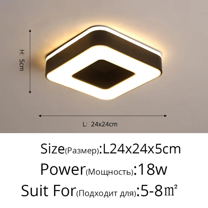 New Design LED Ceiling Light – Modern Corridor, Art Gallery & Balcony Lamp in White & Black