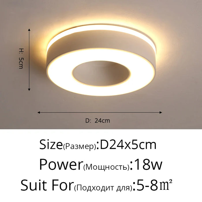New Design LED Ceiling Light – Modern Corridor, Art Gallery & Balcony Lamp in White & Black