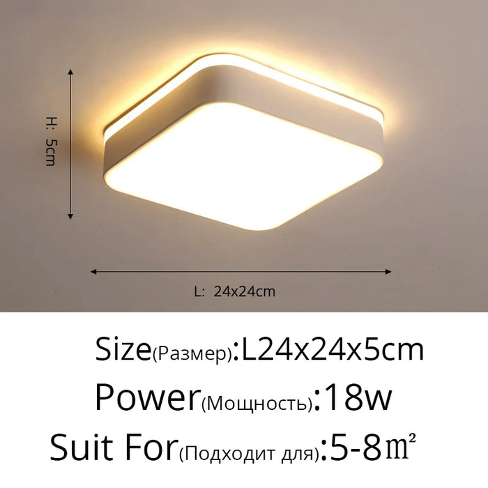 New Design LED Ceiling Light – Modern Corridor, Art Gallery & Balcony Lamp in White & Black