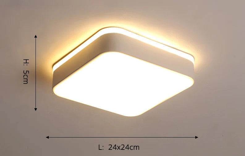 New Design LED Ceiling Light – Modern Corridor, Art Gallery & Balcony Lamp in White & Black - Samanta Factory