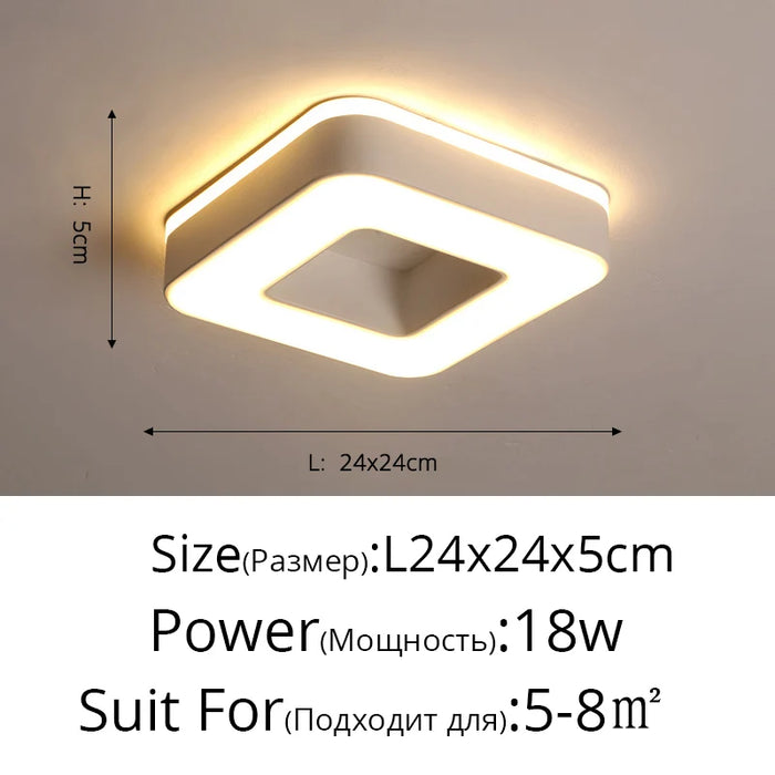 New Design LED Ceiling Light – Modern Corridor, Art Gallery & Balcony Lamp in White & Black