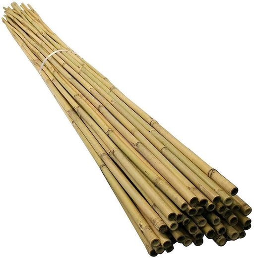 Pack of 5FT bamboo garden canes used for plant support and outdoor screening