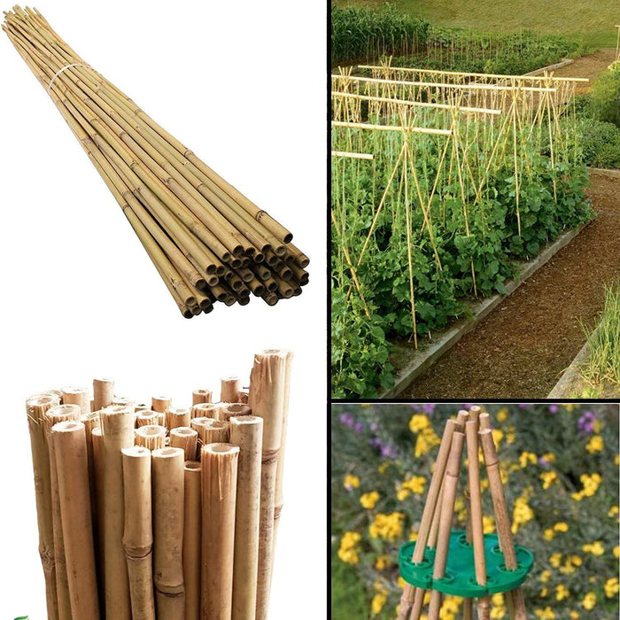 Bamboo Canes – 4FT Garden Plant Support Sticks (120CM, 10–12MM) - Samanta Factory