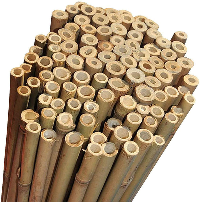 Bamboo Canes – 4FT Garden Plant Support Sticks (120CM, 10–12MM) - Samanta Factory