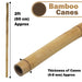 50 x 5FT (150CM) Bamboo Canes – Thickness: 10–12MM - Samanta Factory