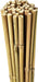 50 x 5FT (150CM) Bamboo Canes – Thickness: 10–12MM - Samanta Factory