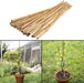 50 x 5FT (150CM) Bamboo Canes – Thickness: 10–12MM - Samanta Factory