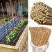 50 x 5FT (150CM) Bamboo Canes – Thickness: 10–12MM - Samanta Factory