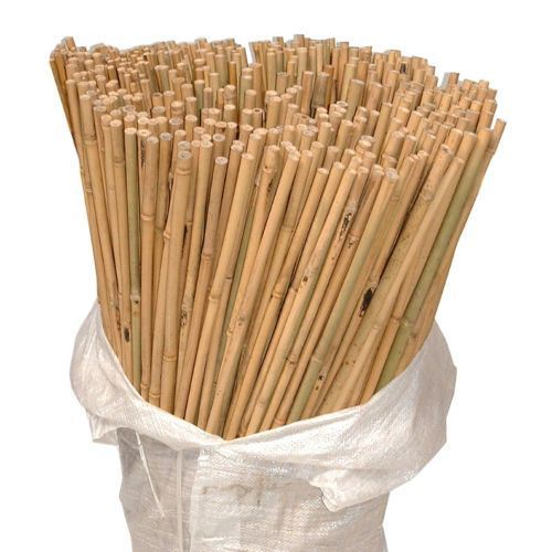 10-pack of 6FT natural bamboo canes for supporting climbing plants and garden trellising
