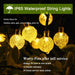 Solar Crystal Globe String Lights – 60 LED Waterproof Fairy Lights with 8 Lighting Modes - Samanta Factory