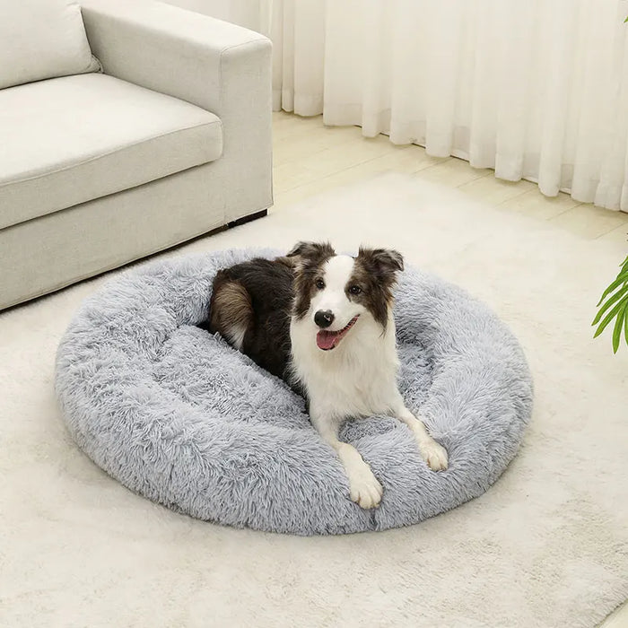 Dog Cotton Bed – Soft, Washable Sofa-Style Pet Bed for All-Season Comfort