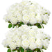 Velvet Artificial Roses – Real Touch 50PCS Bouquet for DIY & Decor Samanta Factory