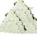 Artificial Velvet Roses – 50PCS Long-Stem Flower Bouquet SF