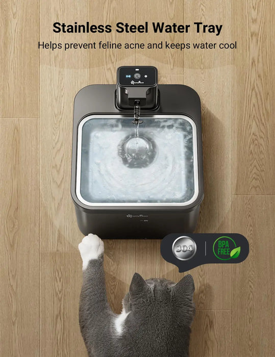 Wireless Cat Water Fountain – Battery-Operated with Motion Sensor & 5-Level Filtration