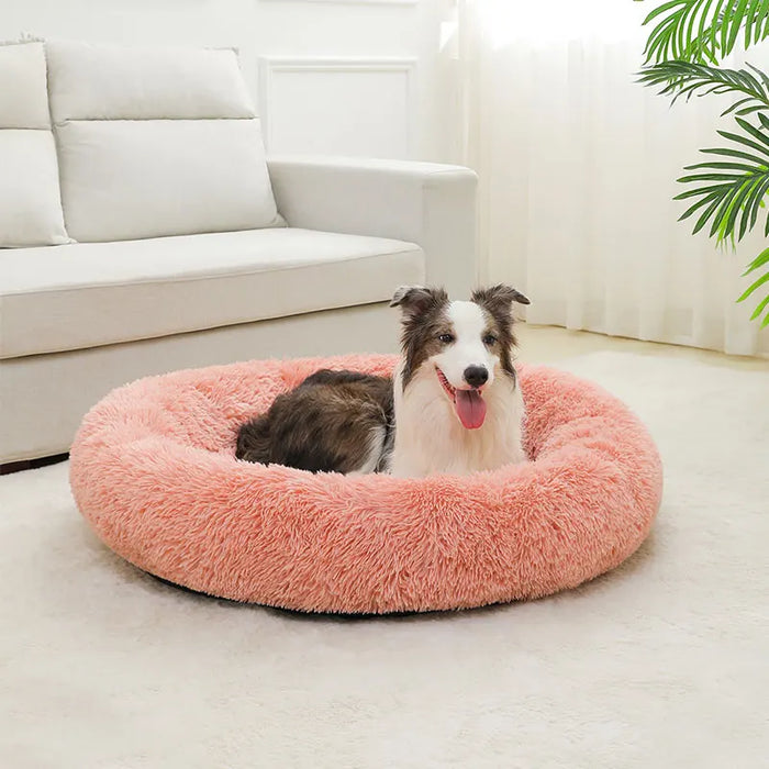 Dog Cotton Bed – Soft, Washable Sofa-Style Pet Bed for All-Season Comfort