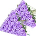 Artificial Velvet Roses – 50PCS Long-Stem Flower Bouquet SF